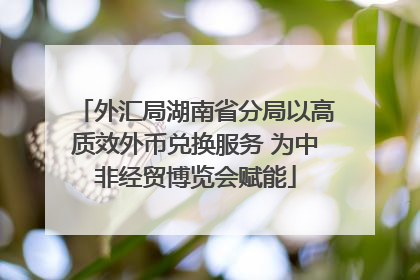 外汇局湖南省分局以高质效外币兑换服务 为中非经贸博览会赋能
