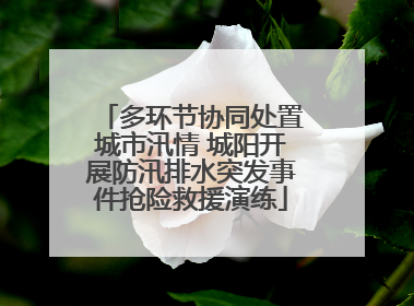 多环节协同处置城市汛情 城阳开展防汛排水突发事件抢险救援演练