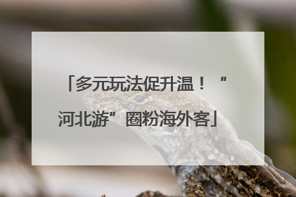 多元玩法促升温！“河北游”圈粉海外客