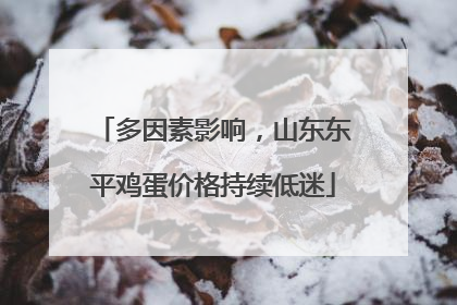 多因素影响，山东东平鸡蛋价格持续低迷