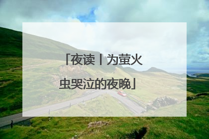 夜读丨为萤火虫哭泣的夜晚