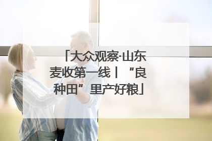 大众观察·山东麦收第一线丨“良种田”里产好粮