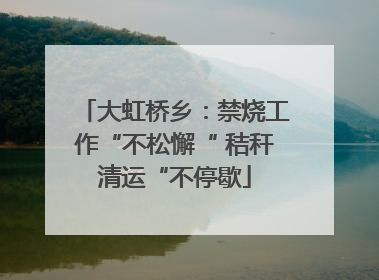 大虹桥乡：禁烧工作“不松懈“ 秸秆清运“不停歇