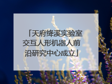 天府绛溪实验室交互人形机器人前沿研究中心成立