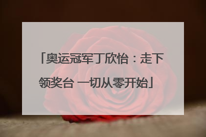 奥运冠军丁欣怡：走下领奖台 一切从零开始