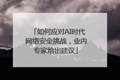 如何应对AI时代网络安全挑战，业内专家给出建议