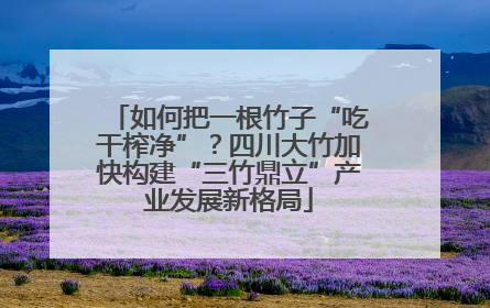 如何把一根竹子“吃干榨净”？四川大竹加快构建“三竹鼎立”产业发展新格局