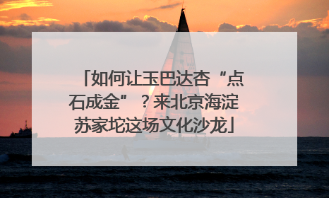 如何让玉巴达杏“点石成金”？来北京海淀苏家坨这场文化沙龙