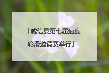 威信县第七届速度轮滑邀请赛举行