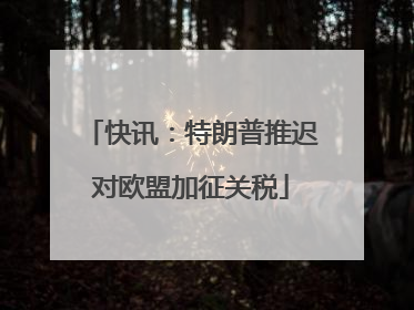 快讯：特朗普推迟对欧盟加征关税
