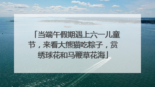 当端午假期遇上六一儿童节，来看大熊猫吃粽子，赏绣球花和马鞭草花海