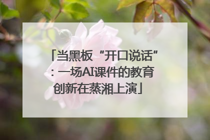 当黑板“开口说话”：一场AI课件的教育创新在蒸湘上演