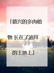 德兴的多肉植物 长在了迪拜的土地上