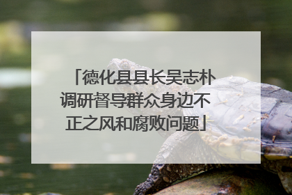 德化县县长吴志朴调研督导群众身边不正之风和腐败问题