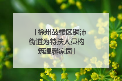 徐州鼓楼区铜沛街道为特扶人员构筑温馨家园