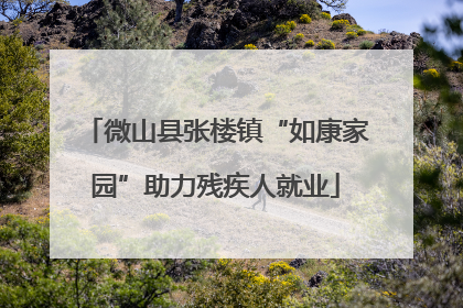 微山县张楼镇“如康家园”助力残疾人就业