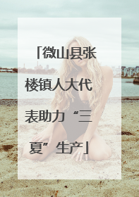 微山县张楼镇人大代表助力“三夏”生产