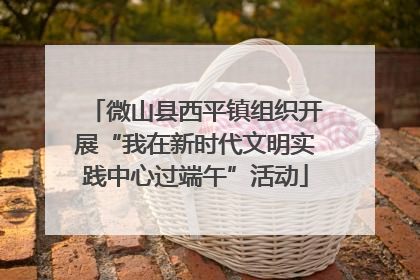 微山县西平镇组织开展“我在新时代文明实践中心过端午”活动