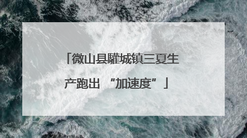 微山县驩城镇三夏生产跑出 “加速度”
