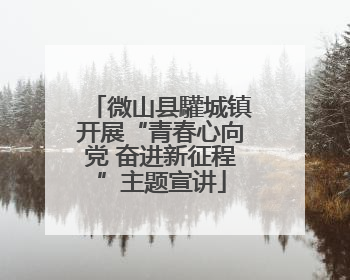 微山县驩城镇开展“青春心向党 奋进新征程”主题宣讲