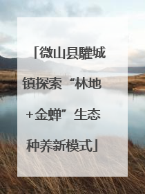 微山县驩城镇探索“林地+金蝉”生态种养新模式