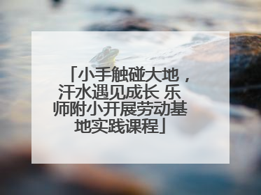 小手触碰大地，汗水遇见成长 乐师附小开展劳动基地实践课程