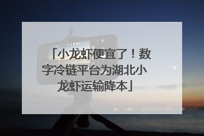 小龙虾便宜了！数字冷链平台为湖北小龙虾运输降本