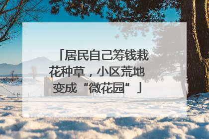 居民自己筹钱栽花种草，小区荒地变成“微花园”