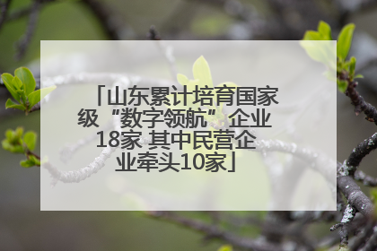 山东累计培育国家级“数字领航”企业18家 其中民营企业牵头10家