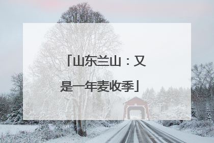 山东兰山：又是一年麦收季