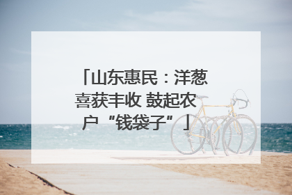 山东惠民：洋葱喜获丰收 鼓起农户“钱袋子”