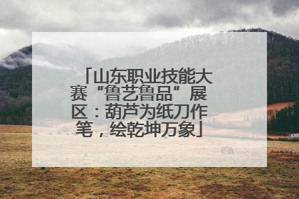 山东职业技能大赛“鲁艺鲁品”展区：葫芦为纸刀作笔，绘乾坤万象