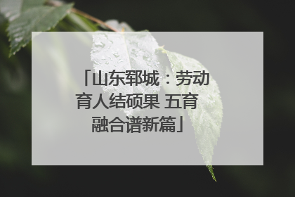 山东郓城：劳动育人结硕果 五育融合谱新篇