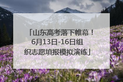 山东高考落下帷幕！6月13日-16日组织志愿填报模拟演练