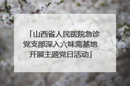 山西省人民医院急诊党支部深入六味斋基地开展主题党日活动