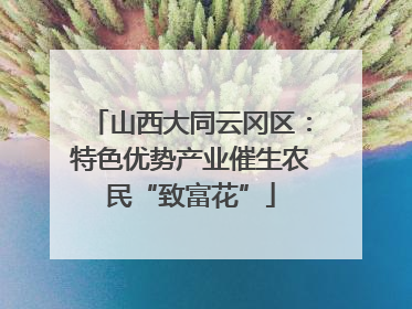 山西大同云冈区：特色优势产业催生农民“致富花”