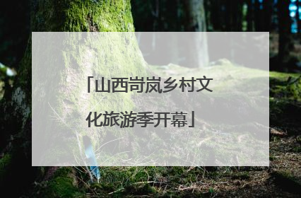 山西岢岚乡村文化旅游季开幕