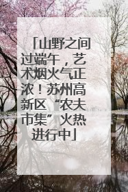 山野之间过端午，艺术烟火气正浓！苏州高新区“农夫市集”火热进行中