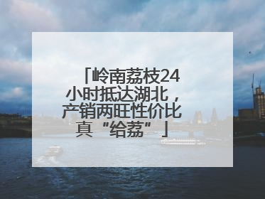 岭南荔枝24小时抵达湖北，产销两旺性价比真“给荔”