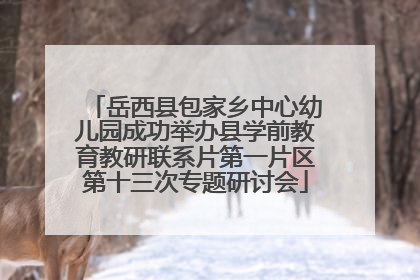 岳西县包家乡中心幼儿园成功举办县学前教育教研联系片第一片区第十三次专题研讨会