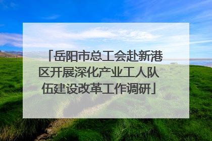 岳阳市总工会赴新港区开展深化产业工人队伍建设改革工作调研