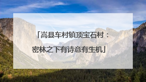 嵩县车村镇顶宝石村：密林之下有诗意有生机