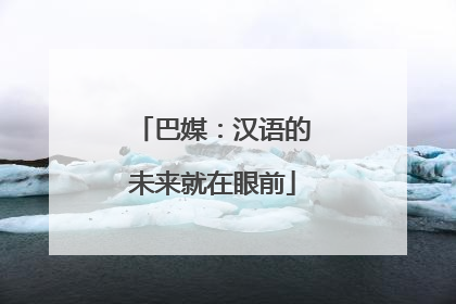巴媒：汉语的未来就在眼前