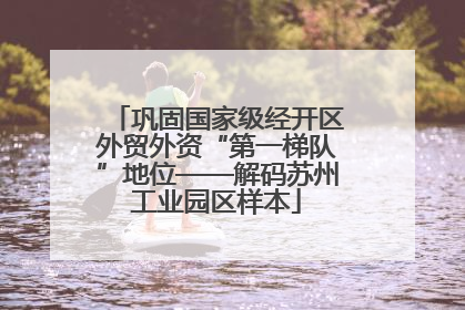 巩固国家级经开区外贸外资“第一梯队”地位——解码苏州工业园区样本