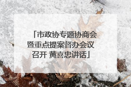 市政协专题协商会暨重点提案督办会议召开 黄喜忠讲话