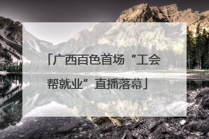广西百色首场“工会帮就业”直播落幕