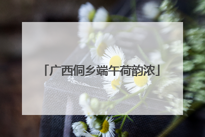 广西侗乡端午荷韵浓