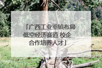 广西工业重镇布局低空经济赛道 校企合作培养人才