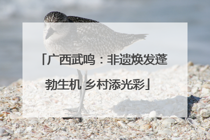 广西武鸣：非遗焕发蓬勃生机 乡村添光彩