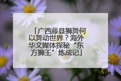 广西藤县狮舞何以舞动世界？海外华文媒体探秘“东方狮王”炼成记